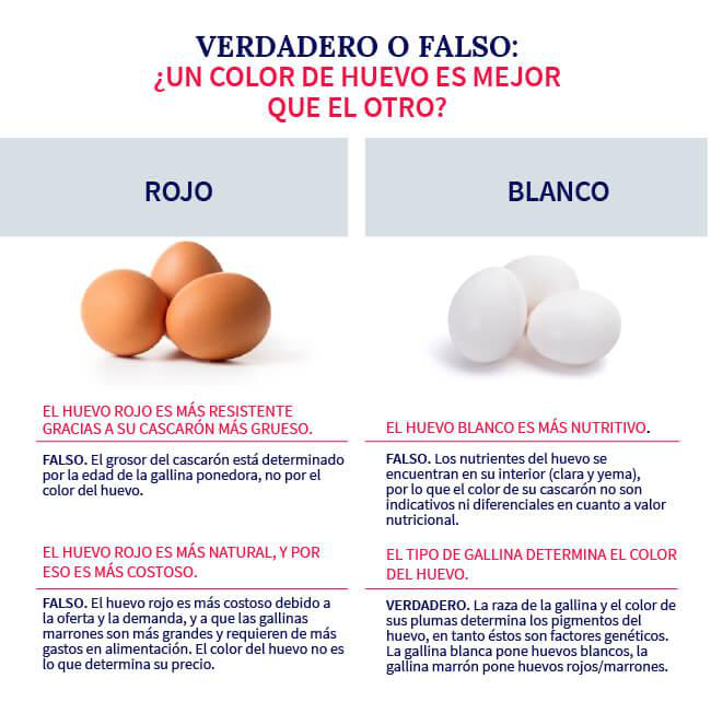 trueORFalse